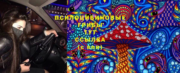 гидропоника Верхний Тагил
