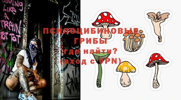 PSILOCYBIN Бугульма